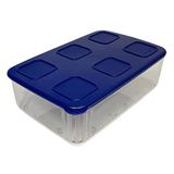 Tupperware Clear Mates 1,6 l Clear & Fresh kap kapaklı – dikdörtgen şeffaf mavi koyu mavi hafif istiflenebilir, taze tutmak için, taze sistem, sebze, meyve sosis veya peynir için kutu