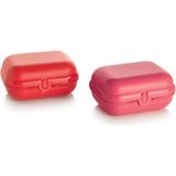 Tupperware Istiridye Kırmızı Pembe 2 Li Set Beslenme Kutusu - 1 Yaş ve Üzeri - Beyaz - Eflatun