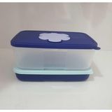 Tupperware Kalın Islak Mendil Kutusu Ve Ince Saklama Kabı (İKİLİ)