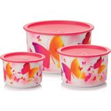 Tupperware Kelebek Saklama Kabı 3'lü Set