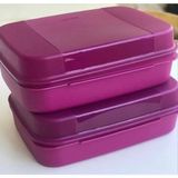 Tupperware Kurabiye Kutusu 2 Adet 2 Litre.