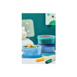 Tupperware Mini Saklama Kabı 250 Ml 3'lü Set (beslenme Kabı, Mama Saklama )