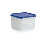 Tupperware Oval 2.6 lt Kuru Gıda Saklama Kabı