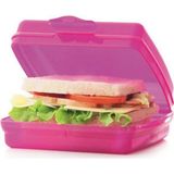 Tupperware Pembe Beslenme (Sandviç) Kutusu Saklama Kabı Ks Bes