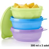 Tupperware Plastik Saklama Kabı 300 ml Yuvarlak 3 Parça Bulaşık Makinesinde Yıkanabilir