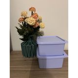 Tupperware Saklama Kabı 1.2lt x 2 Adet - Açık Mavi - Mavi