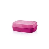 Tupperware Saklama Kabı F20 2.4 Lt Yeni Renk