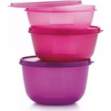 Tupperware Şeker Kaplar 1 - 1,5 - 2 lt 3'lü Set Saklama Kabı - Mor