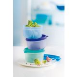 Tupperware Şeker Üçüzler Yeni Renk Saklama Kabı 3x250ml