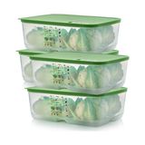 Tupperware Sera 4x9,9 lt Saklama Kabı