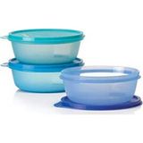 Tupperware Üç Şekerpare Lacivert Yeşil Mavi Renkler - 1 Adet