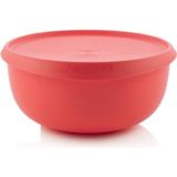 Tupperware Yoca 4.3 Lt Saklama Kabı