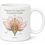 Tupya Gift Çiçek Anatomisi Temalı Baskılı Kupa Bardak Hediye Botanik Porselen Mug - Adet - Beyaz