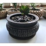 Turansoy Craft Dekoratif Model Sukulent Saksı (10 cm Çap)