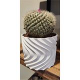 Turansoy Craft Distortion Dekoratif Vazo & Saksı Büyük Boy (Plastiktir 20 cm Çap 17 cm Yükseklik)