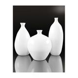 Turansoycraft Contemporary Modern Vazo Büyük Boy 25 Cm Dekoratif Sert Plastik Contemporary Vazo 3'Lü Set