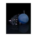 Turansoycraft Kedi Yuvarlak Hoparlör Standı Büyük Boy 22Cm