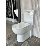 Turavit Omega Duvara Sıfır Klozet + Rezervuar + İç Takım + Kapak Yavaş Kapak ve İç Takım Dahil