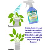 Turbo Bitki Besini Sprey Yaprak ve Kök Destekleyici 500 ml
