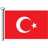 TÜRK BAYRAĞI 20X30