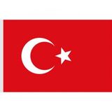 Türk Bayrağı 40X60Cm Bez Bayrak Btk-103