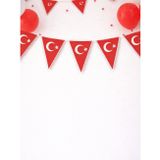 Türk Bayrağı Baskılı Üçgen Flama Bayrak – Sınıf Okul Milli Bayram Dekoru