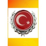 Türk Bayrağı Döküm Arma-1