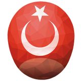 Türk Bayrağı Görselli - Türk Bayrağı Temalı Bilek Destekli Oval Mouse Pad