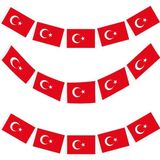 Türk Bayrağı Kağıt İpli Sıralı Ay Yıldız 50Li 4M 8Cm X 13Cm