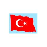 Türk Bayrağı Kum Boyama Kartı Seti Jumbo 5 Adet(33X47cm)-Red Castle KMB119