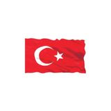 Türk Bayrağı Parlak Raşhel Kumaş 50x70 cm bayrak1