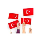 Türk Bayrağı Sopalı Bayrak 30x45cm 20 Adet