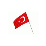 Türk Bayrağı Sopalı Yıkanabilir Alpaka Kumaş 30x45cm