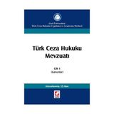 Türk Ceza Hukuku Mevzuatı