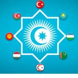TÜRK DEVLETLERİ TEŞKİLATI BAYRAĞI 45x30CM DUVAR TABLOSU ÇERÇEVESİZ PVC TABLO