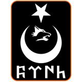Türk Yazılı Ay Yıldız Kurt Hilal Oto Sticker 30x20 Cm Beyaz