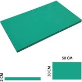Türkay Polietilen Profesyonel Yeşil Polietilen Kesme Tahtası 30X50X2 cm