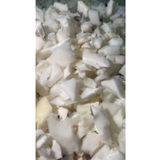 TÜRKELİ Beyaz Kırpıntı Sünger Dolgu Malzemesi 1kg, Yatak ve Yastık İçin Uygun