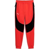Türkiye Basketbol Milli Takım Hoops Dıme Erkek Eşofman Altı - XL - Puma Red