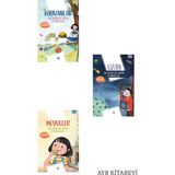 Türkiye Diyanet Vakfı Yayınları Sağ Beyin Sol Beyin Etkinlikleri 3 Kitap-Hayvanlar-Meyveler-Uzay -Tdv-Gül Nihal Özkan