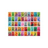 TÜRKİYE İŞ BANKASI KÜLTÜR YAYINLARI İlköğretim İçin Dünya Çocuk Klasikleri 50 Kitap Set (Tom Sawyer, Peter Pan, Oz Büyücüsü, Heidi