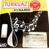 Turkuaz CG318 Pyramid Kısa Sap Bağlama Teli İpekli Bam 018 SET