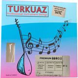 Turkuaz Dbt322 0.22 Mm Pyramid + İpek Bamlı Takım Tel Divan Bağlama Teli 022