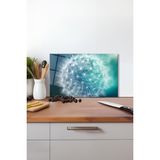 Turkuaz Karahindiba Cam Kesme Tahtası, Silikon Ayaklı Isıya Kırılmaya Dayanıklı Sunum Kesim Tablası - 30 x 45 cm