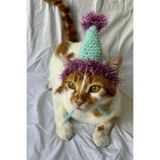 Turkuaz Lila Doğum Günü Şapkası Ponponlu Işıltılı Parti Şapkası Kedi Köpek Eğlenceli Pet Aksesuar
