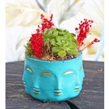 Turkuaz seri 3'lü echeveria sukulent