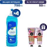 Turmepa Bulaşık Deterjanı 750 ml x 4, El Kremleri Hediye