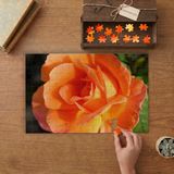 Turuncu Büyük Gül Tasarımı 240 Parça Ahşap Puzzle Ahşap Kutuda MP00240