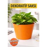 Turuncu Renk Kırılmaz Esnek Plastik Balkon Saksısı 12 cm Orkide Bitki Genel Kullanım Saksı