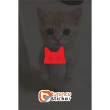 Turuncu Sticker Araç Ayna Kedi Sticker Etiket ( 1 adet ) 2,5x2 cm – Araç – Motor – Laptop - Kask Etiket Sticker - Kırmızı